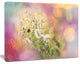 Cute Little Summer Flowers, Large Flower Canvas Wall Art, 20"x12"