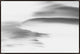 45x30 Lenticular Clouds XV, Framed Artwork, Espresso