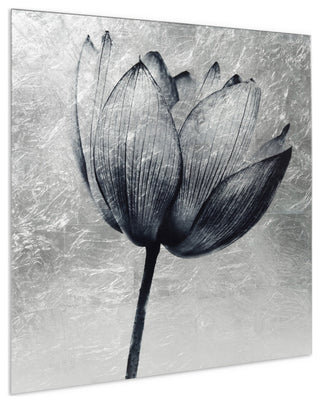 "Lotus" Reverse Printed on Tempered Glass With Silver Leaf Wall Art