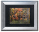 Jason Shaffer ''Autumn Tree Line'', Silver Frame, Black Mat, 14x11