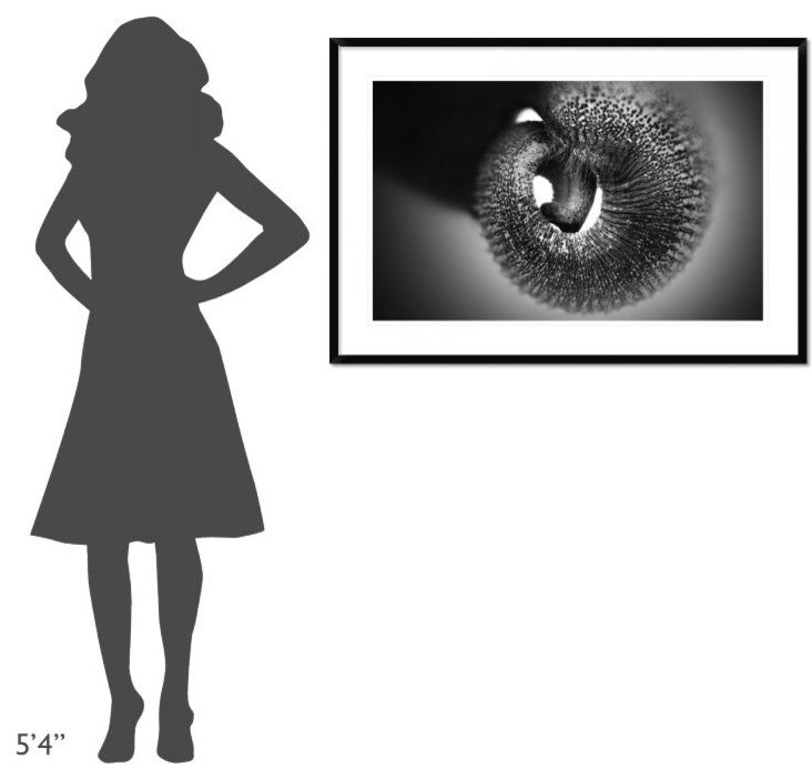 "Trunk" Framed Digital Print by Antje Wenner-Braun, 44x30"