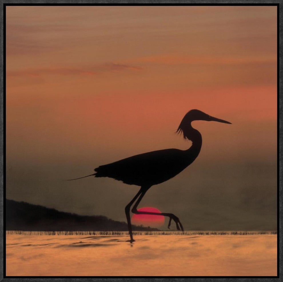 "Little Egret silhouetted at sunset, Africa"  by Tim Fitzharris, 19x19"
