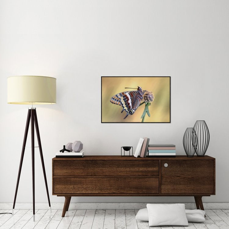 "La Mariposa Del Madroa" Framed Canvas Giclee by Jimmy Hoffman, 37x25"