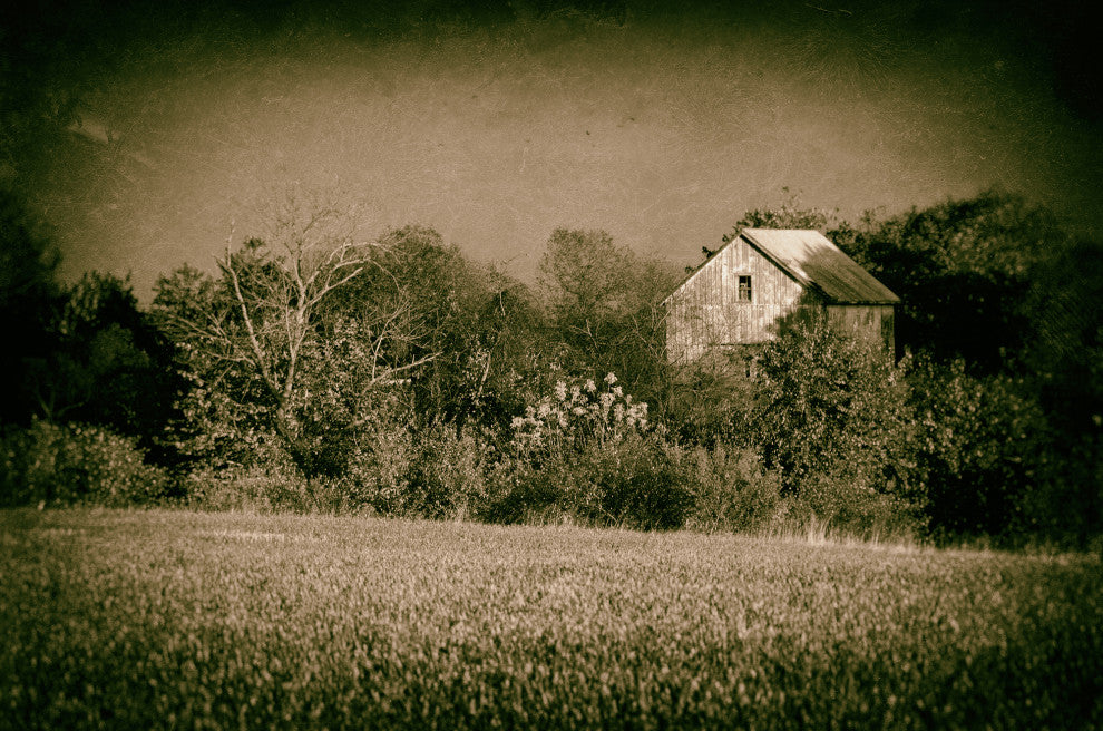 Abandoned Barn In The Trees Vintage Framed Photo Paper Wall Art Prints, Red Oak, 18" X 24"