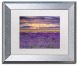 Blanchette Photography 'Lavender Sunbeams', Silver Frame, White Matte, 14"x11"