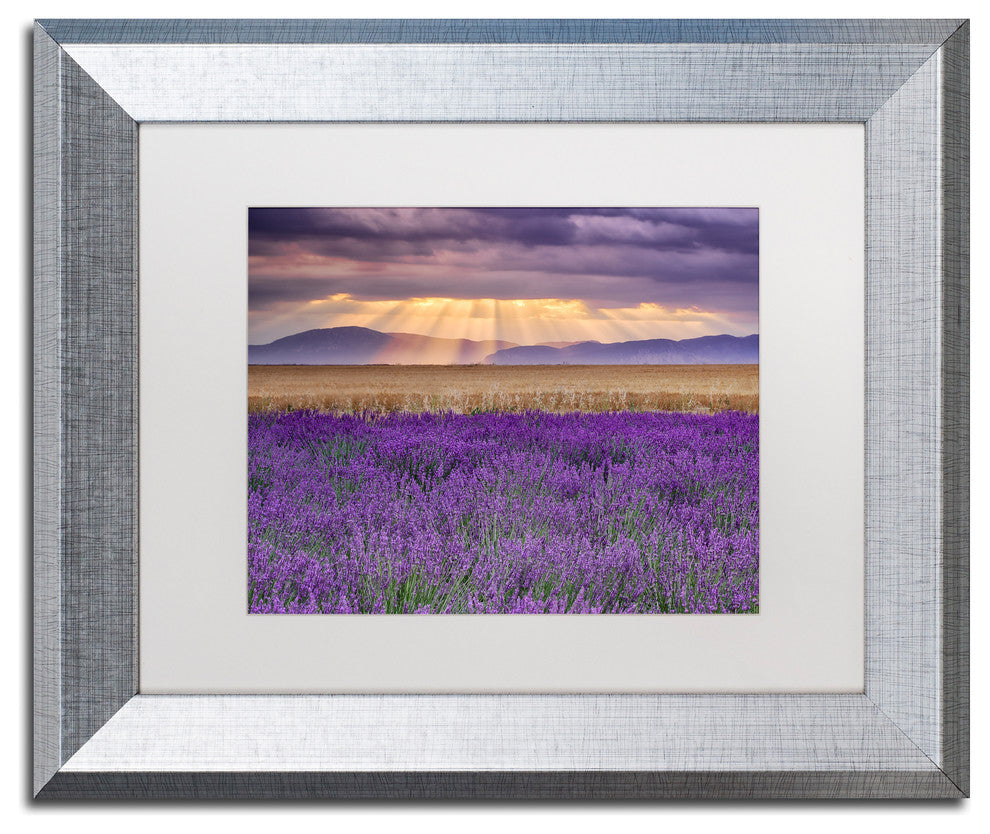 Blanchette Photography 'Lavender Sunbeams', Silver Frame, White Matte, 14"x11"