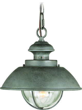 Harwich 10" Outdoor Pendant
