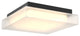 Misty 11" Square LED Flush Mount Light