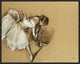 "Dancer Adjusting Her Shoe" Framed Canvas Giclee by Edgar Degas, 23x18"