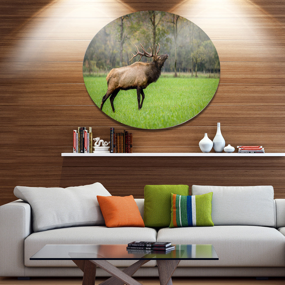 Trophy Bull Elk In Green Grassland, Animal Disc Metal Artwork, 23"