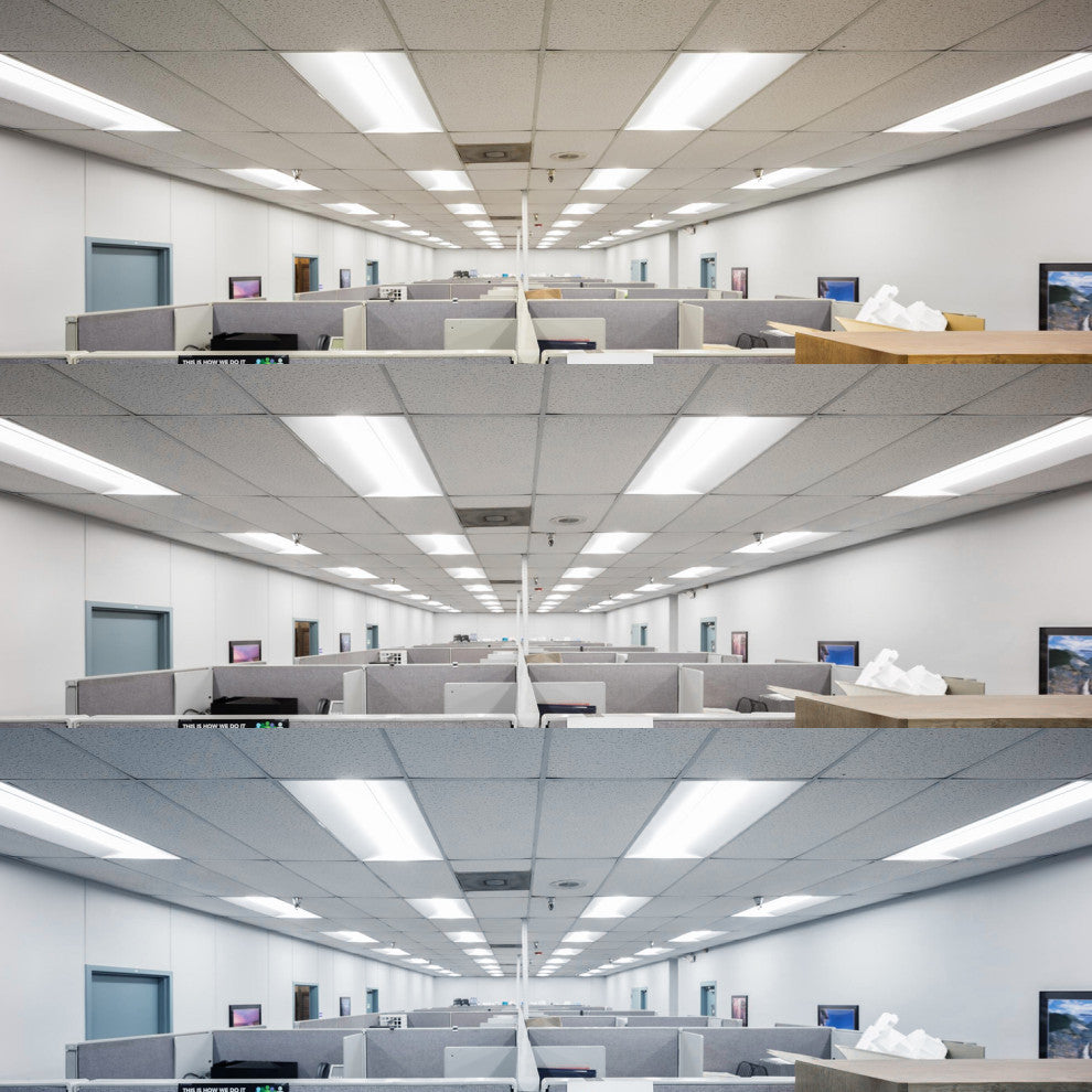 1x4 FT LED Troffer Panel 3 Color Options Dimmable Damp Rated 2 Pack