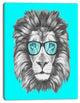 Funny Lion with Blue Glasses, Animal Canvas Art Print, 30"x40"