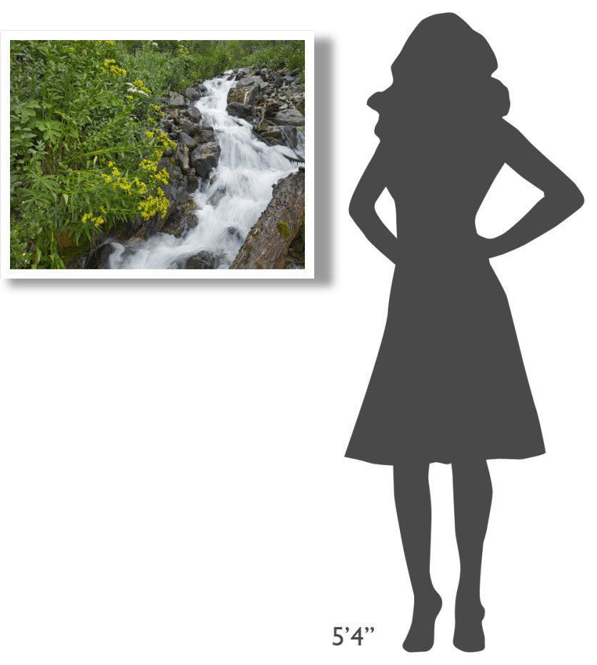 "Creek near Silverton, Colorado" Digital Paper Print by Tim Fitzharris, 34"x26"