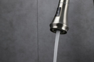 Garbatella Brass Kitchen Faucet w/ Pull Out Sprayer, Brushed Nickel