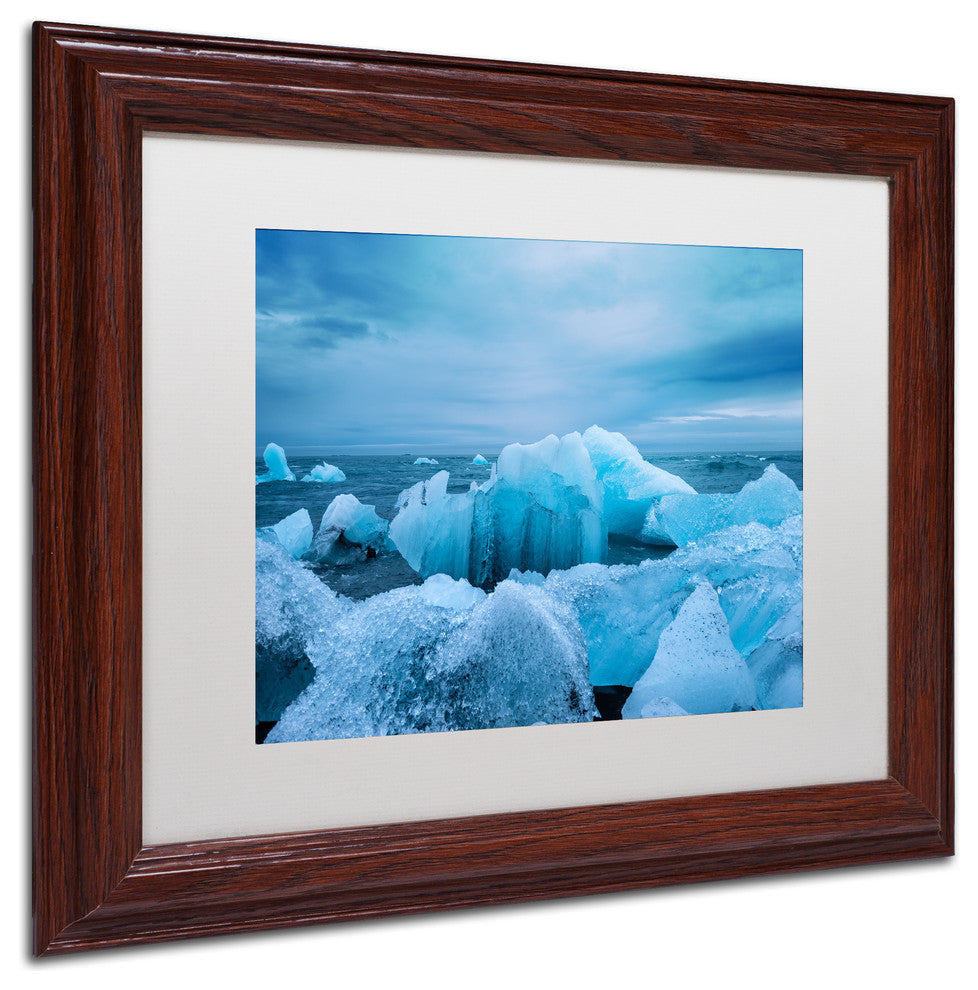 Philippe Sainte-Laudy 'Ice Park' Matted Framed Art