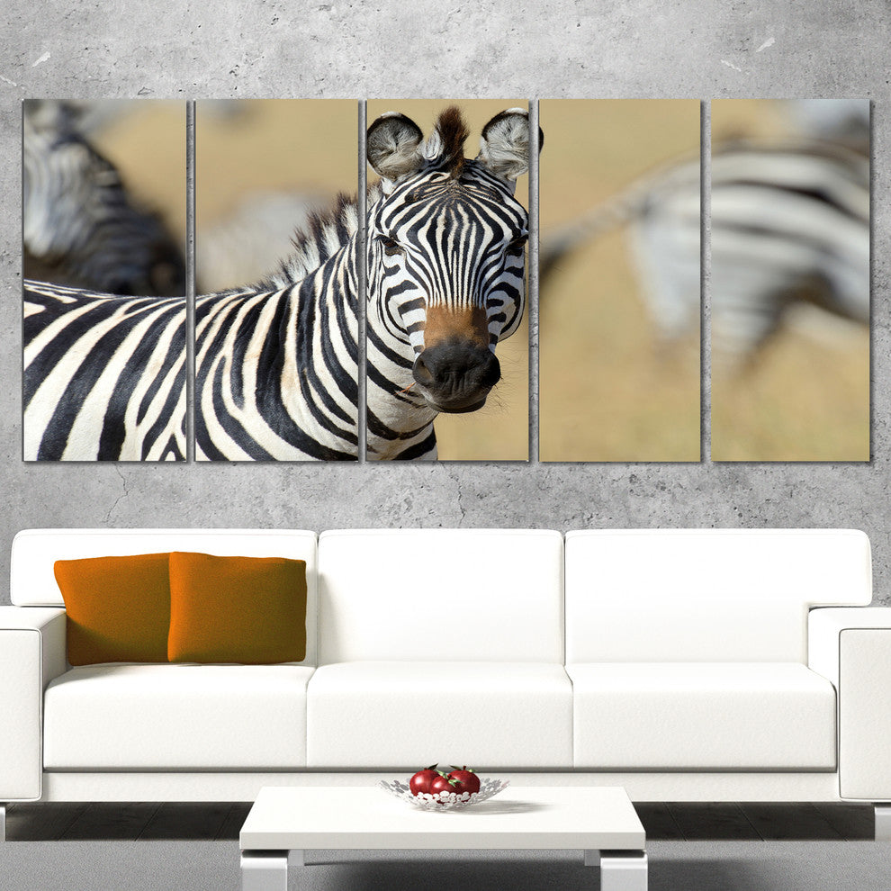 African Zebra Close Up View, African Canvas Art Print, 60"x28", 5 Panels