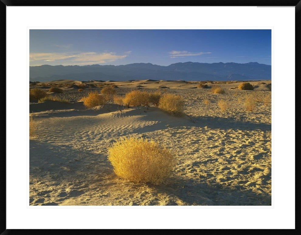Mesquite Flat Sand Dunes, Death Valley National Park, California, 38"x30"