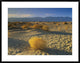 Mesquite Flat Sand Dunes, Death Valley National Park, California, 38"x30"