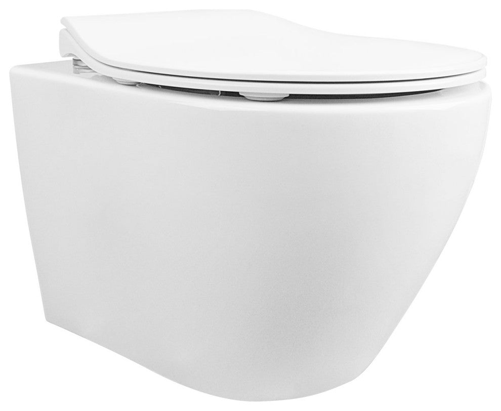 In-Wall Toilet Combo Set, Wall Hung Toilet Wall Hung Tank and Carrier System