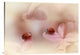 "Ladybirds On Pink Hydrangea." Canvas by Ellen Van Deelen, 36x25"