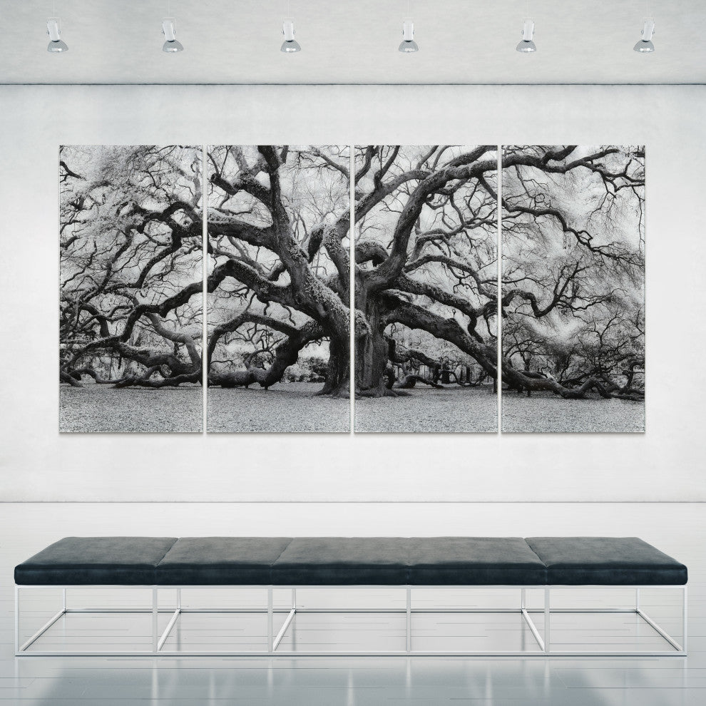 "The Angel Oak ABCD" Frameless Tempered Glass Panel Graphic Wall Art Set