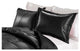 PUFF Water Resistant Nylon Sham 2-PK, Black, King