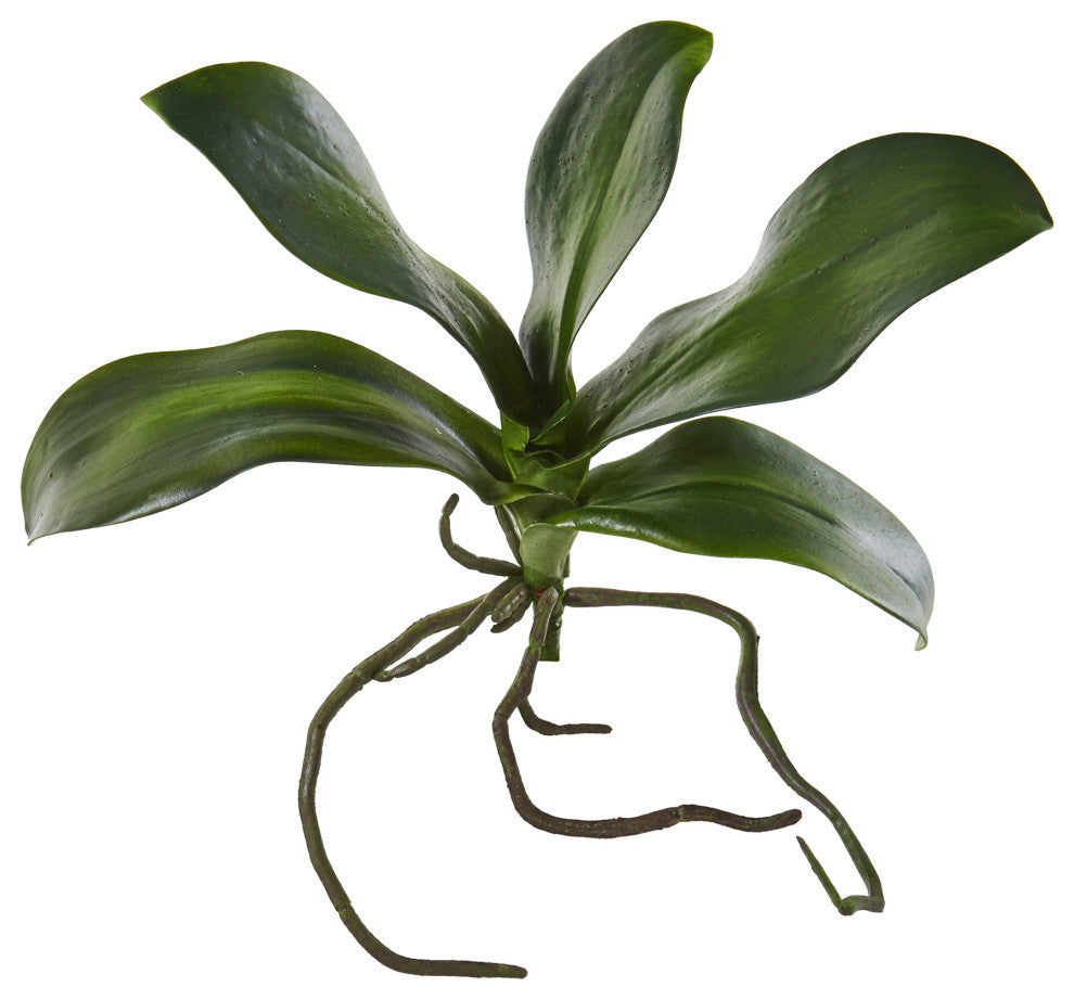 Nearly Natural 9ï¿½ Phalaenopsis Orchid Leaf Artificial Flower (Set of 6)