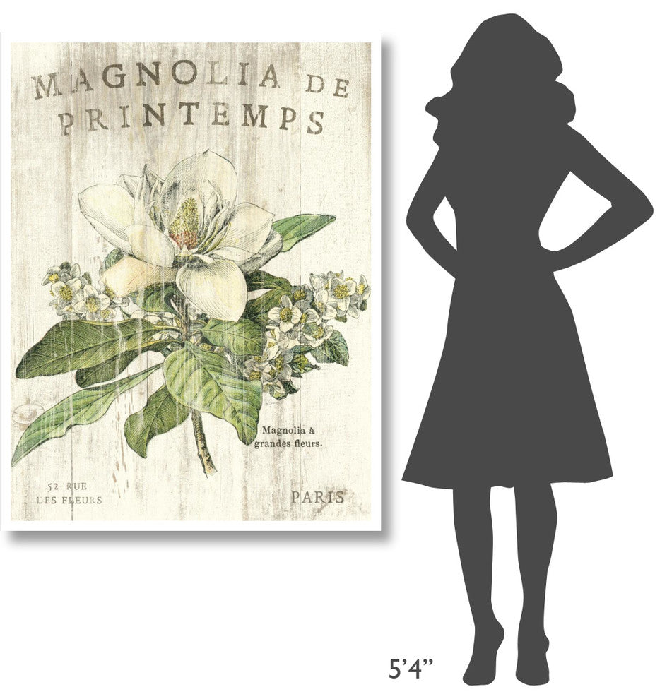 "Magnolia de Printemps" Digital Paper Print by Sue Schlabach, 38"x50"