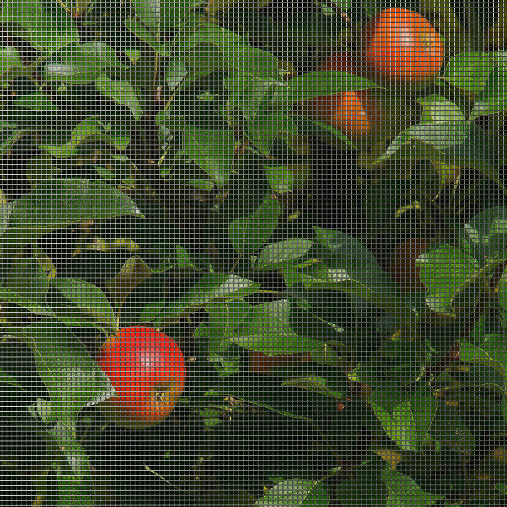 Hardware Cloth 23 Gauge 1/4"x1/4" Mesh, 4'x50'