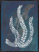 36x48 He Loves Me, He Loves Me Not I, Framed Artwork, Espresso