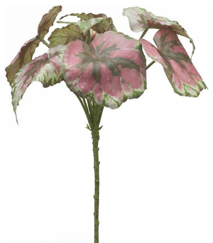 Begonia Leaf, Set of 2, 11.5"H Polyester