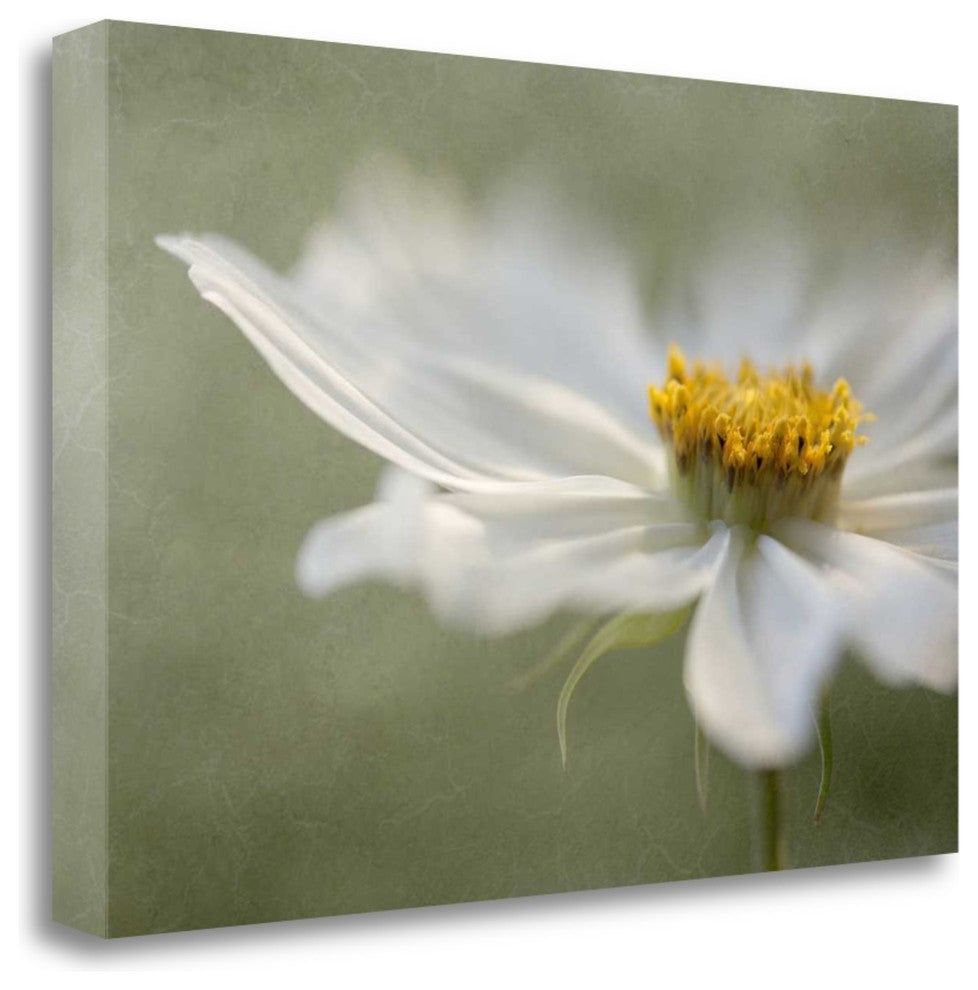 "Whisper" By Mandy Disher, Giclee Print on Gallery Wrap Canvas, Ready to Hang