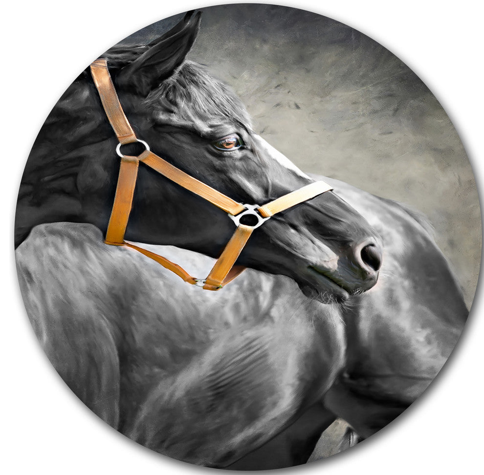 Black Horse, Animal Round Wall Art, 36"