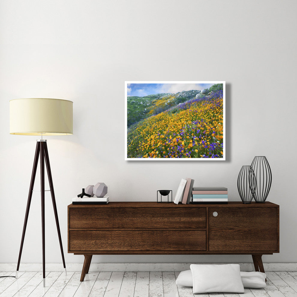 "California Poppym Desert Bluebell, Santa Ana Mountains" Paper Art, 42"x32"