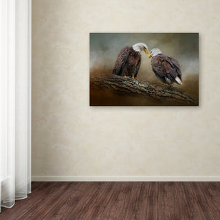 Jai Johnson 'Quiet Conversation Bald Eagles' Canvas Art, 32 x 22