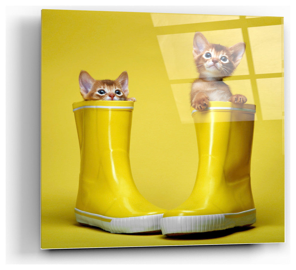 Cortesi Home Puss, Boots Tempered Glass Wall Art, 12" x 12"