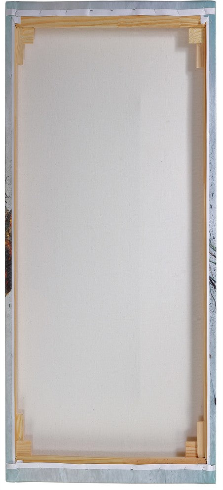 Epic Graffiti "Star Crossed" Hubble Space Telescope Giclee Canvas Art, 20"x40"