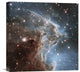 "Infrared View of NGC 2174" Stretched Canvas Giclee by NASA, 18"x18"