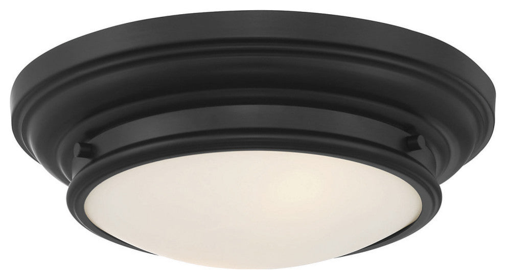 2-Light Ceiling Light, Matte Black