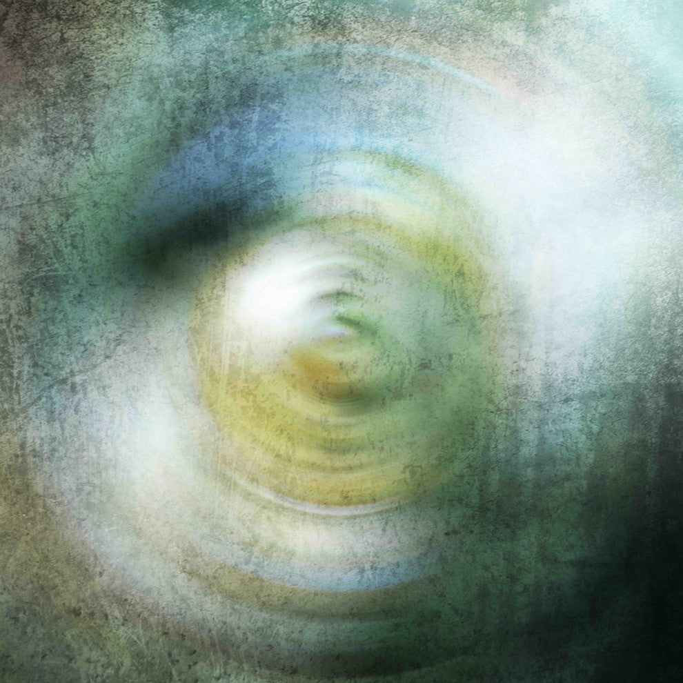 "Spiral I" Painting Print on Canvas by Irena Orlov