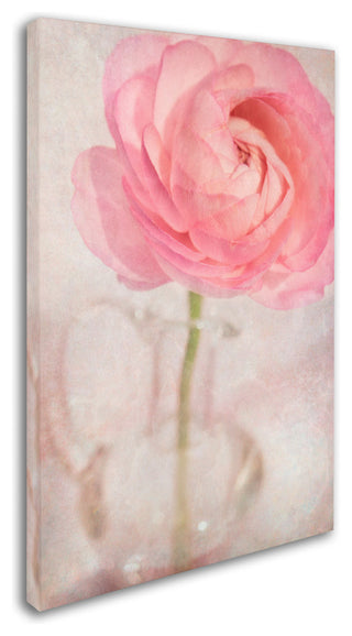 Cora Niele 'Single Rose Pink Flower' Canvas Art