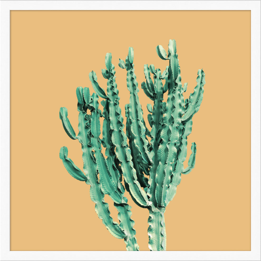Sherbet Cactus 1, Giclee Reproduction Artwork