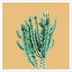 Sherbet Cactus 1, Giclee Reproduction Artwork