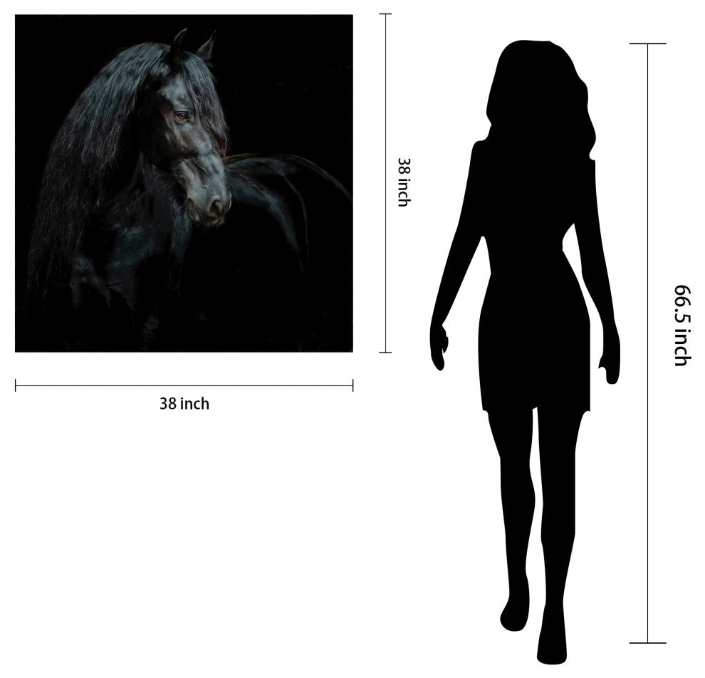 "Black Equine Attraction" Frameless Free Floating Tempered Glass Panel Wall Art