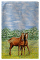 Betsy Drake Two Horses Beach Towel