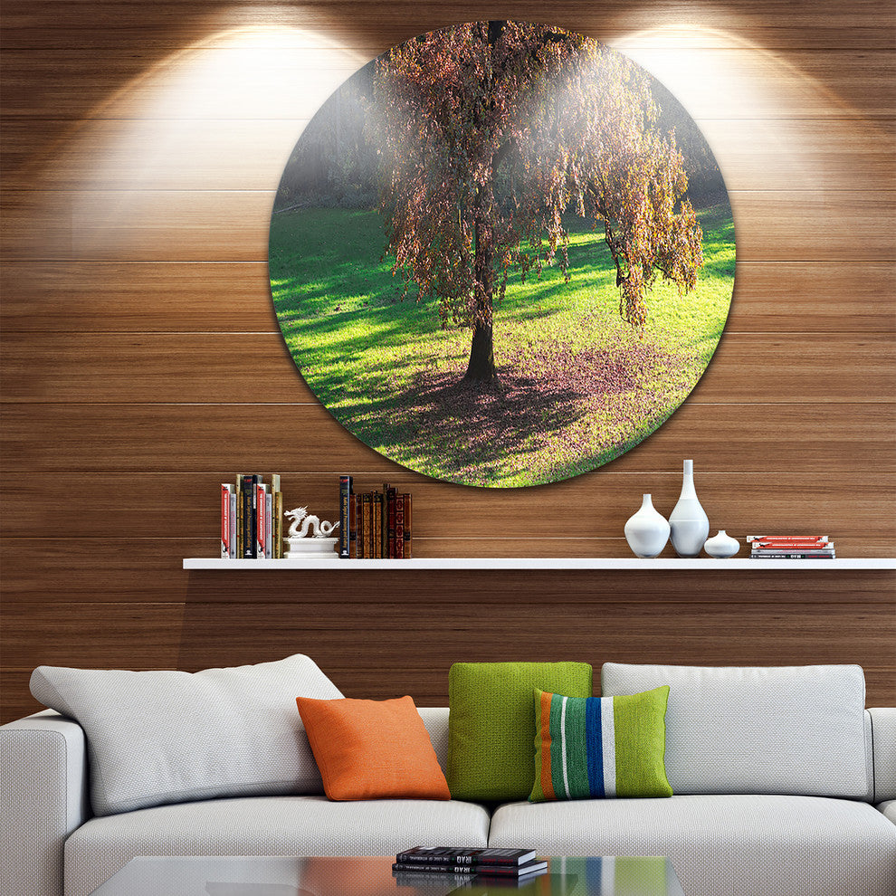 Lonely Beautiful Autumn Tree, Landscape Round Wall Art, 23"