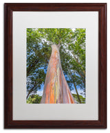 Pierre Leclerc 'Rainbow Tree' Matted Framed Art, Wood Frame, White, 20x16