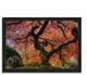 "Japanese Maple In Autumn", Framed Photograph Print, Ready To Hang