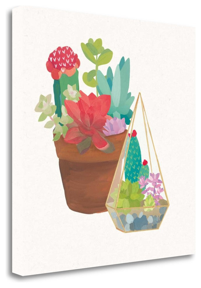 "Succulent Garden IV" By Wild Apple Portfolio, Giclee on Gallery Wrap Canvas