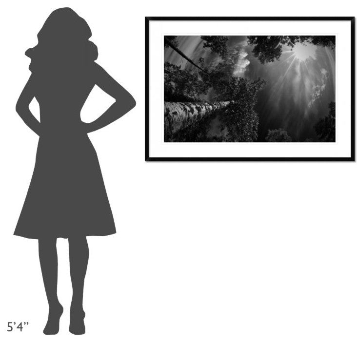 "Dreaming Before The Thunder" Framed Digital Print by Mikael Jigmo, 44x30"